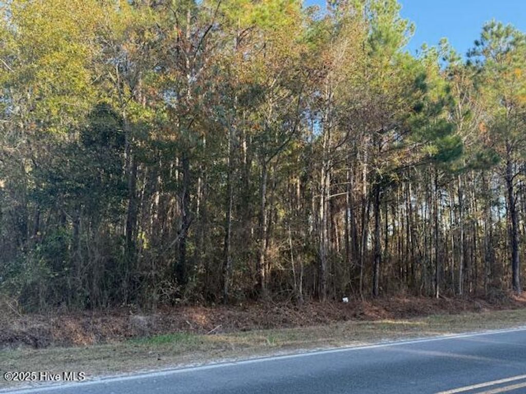 Photo of 0 Swain Road SE, Bolivia, NC 28422 (MLS # 100543076)