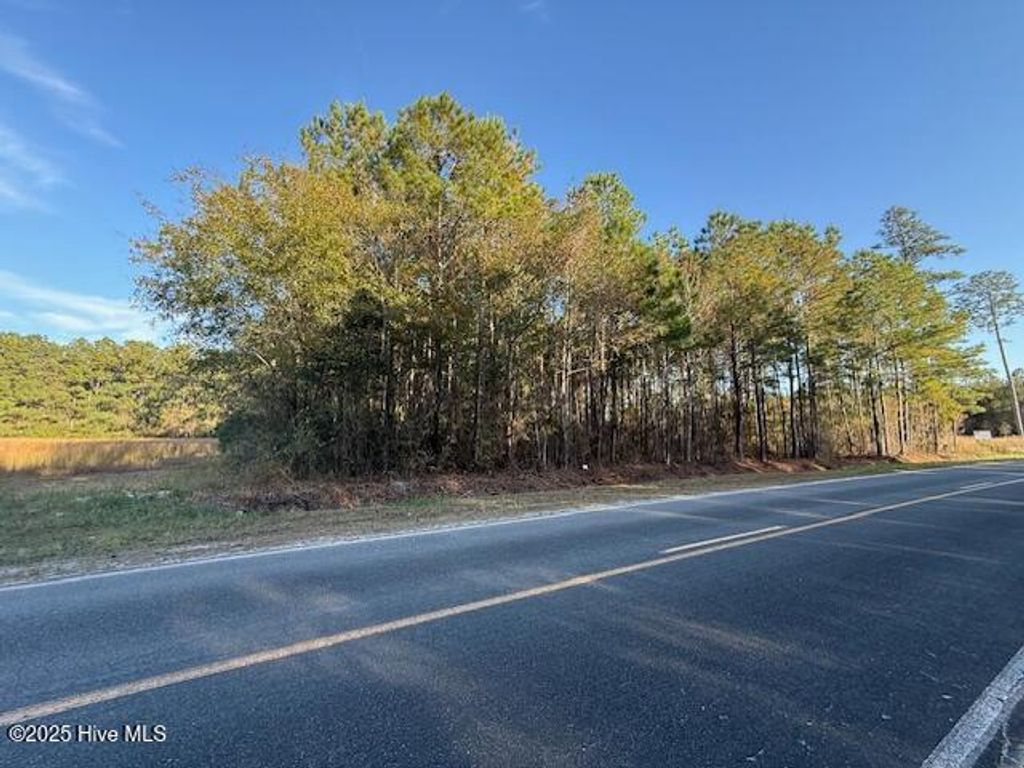 Photo of 0 Swain Road SE, Bolivia, NC 28422 (MLS # 100543076)
