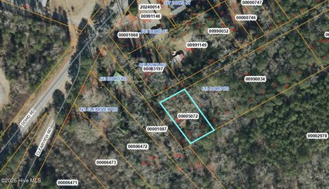 Vacant Land For Sale - LOT 50/51 Dowd Road<br/> Carthage, NC 28327
