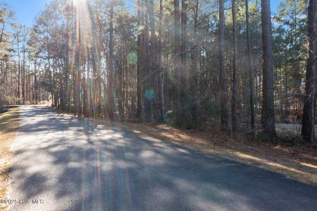 Photo of 125 Applewood Lane, Vass, NC 28394 (MLS # 100548315)