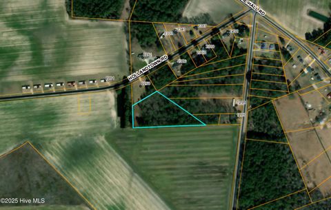 Vacant Land For Sale - 1 Hollandtown Road<br/> Salemburg, NC 28385
