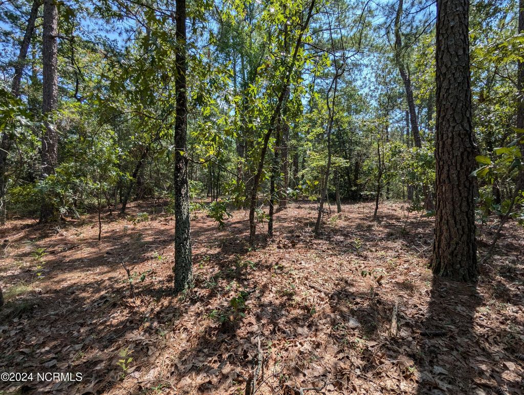 Photo of 445 Thimbleberry Drive, Vass, NC 28394 (MLS # 100462155)