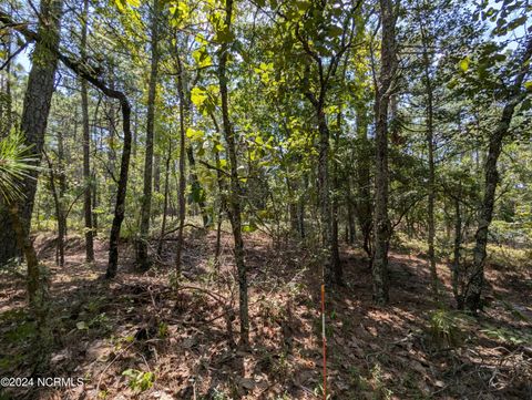 Vacant Land For Sale - 445 Thimbleberry Drive<br/> Vass, NC 28394