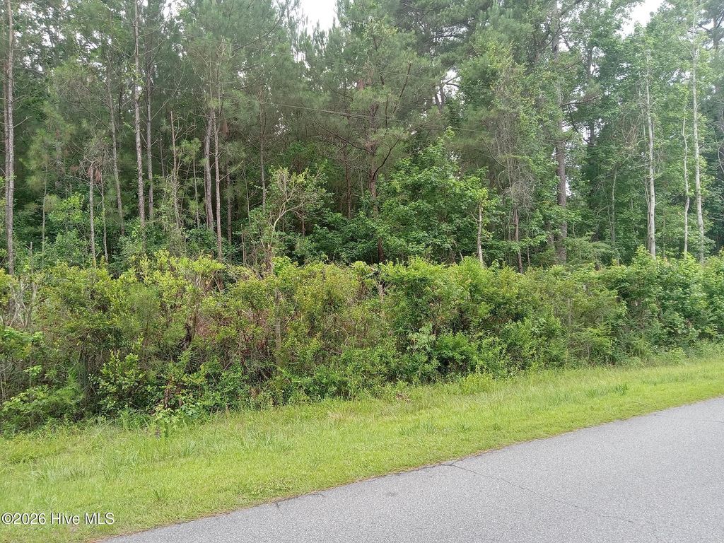 Photo of 6735 Richardson Drive NW, Ocean Isle Beach, NC 28469 (MLS # 100582449)