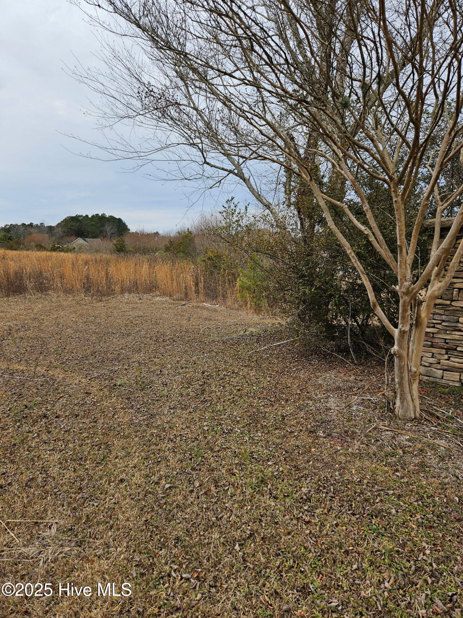 Rocky Point, North Carolina 28457, United States, ,Land,Pending,255622