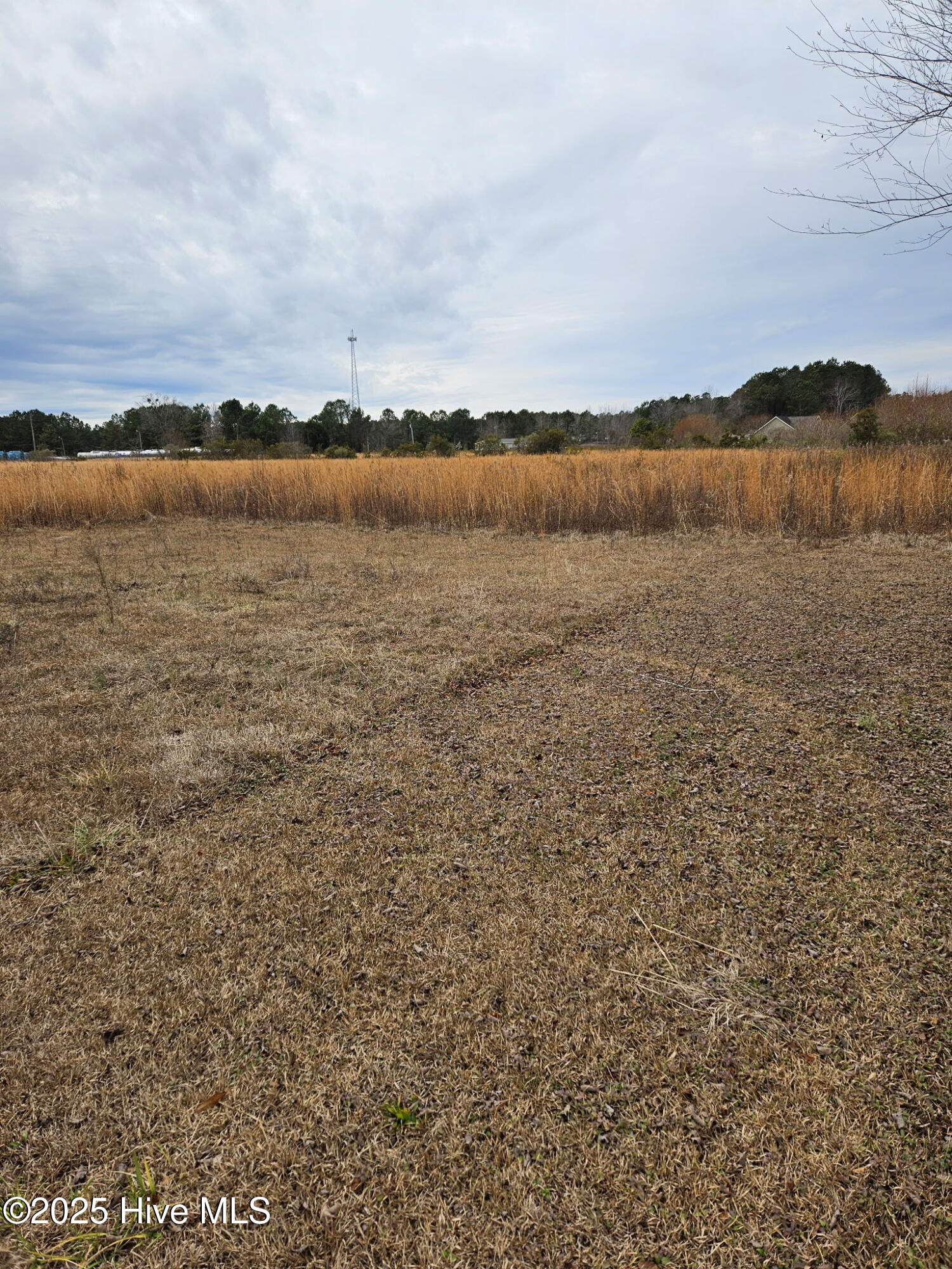 Rocky Point, North Carolina 28457, United States, ,Land,Pending,255622