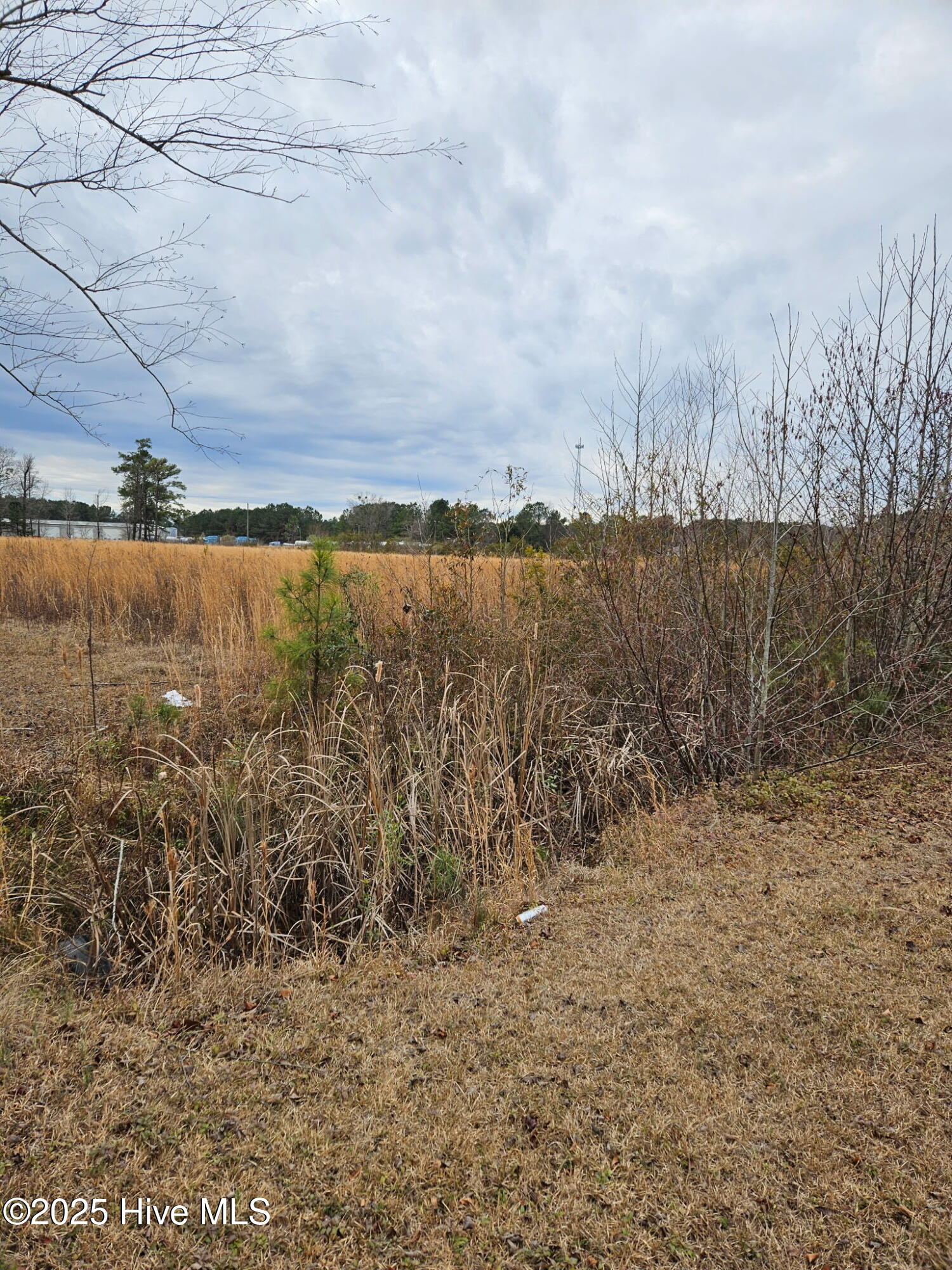 Rocky Point, North Carolina 28457, United States, ,Land,Pending,255622 Rocky Point, North Carolina 28457, United States, ,Land,Pending,255622