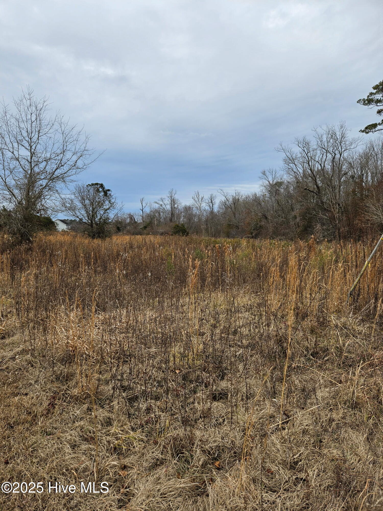 Rocky Point, North Carolina 28457, United States, ,Land,Pending,255622