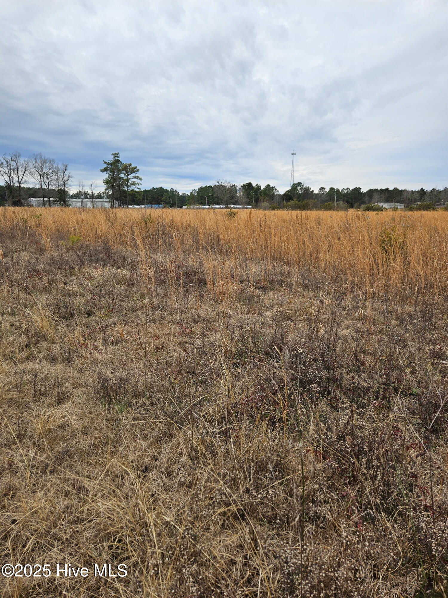 Rocky Point, North Carolina 28457, United States, ,Land,Pending,255622