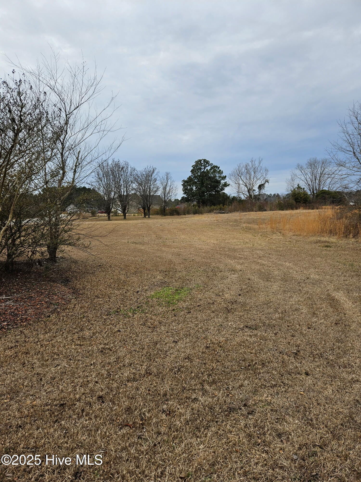 Rocky Point, North Carolina 28457, United States, ,Land,Pending,255622