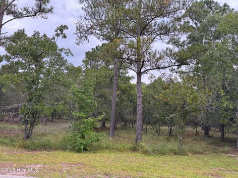 Vacant Land For Sale - 3022 Spiro Street<br/> Bolivia, NC 28422