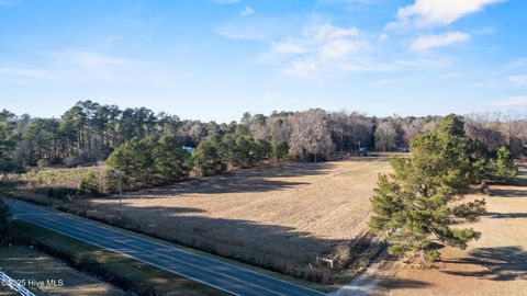 Photo of 1216 Malpass Corner Road, Burgaw, NC 28425 (MLS # 100545128)