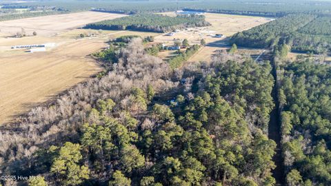Tiny photo for 1216 Malpass Corner Road, Burgaw, NC 28425 (MLS # 100545128)