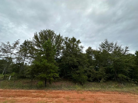 NELSON CT, LOUISVILLE, GA 30434 - Image fc93bb2230cf2d77e321ddf12bc3e892/415222652