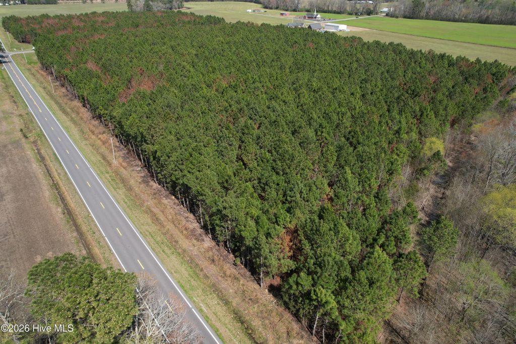 Photo of 0 Old Stake Road, Clarendon, NC 28432 (MLS # 100560557)
