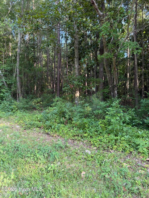 Vacant Land For Sale - 1185 Green Springs Road<br/> New Bern, NC 28560
