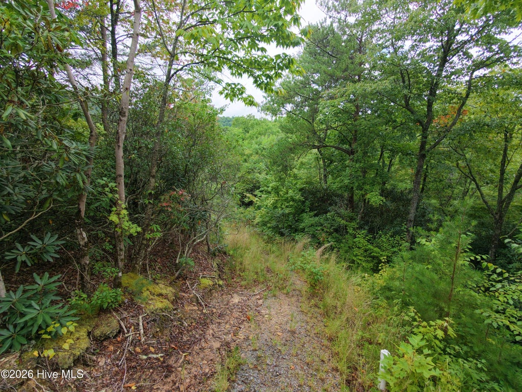 Photo of 1621 Granny Squirrel Drive, Andrews, NC 28901 (MLS # 100603394)