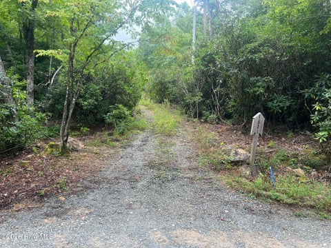 Vacant Land For Sale - 1621 Granny Squirrel Drive<br/> Andrews, NC 28901