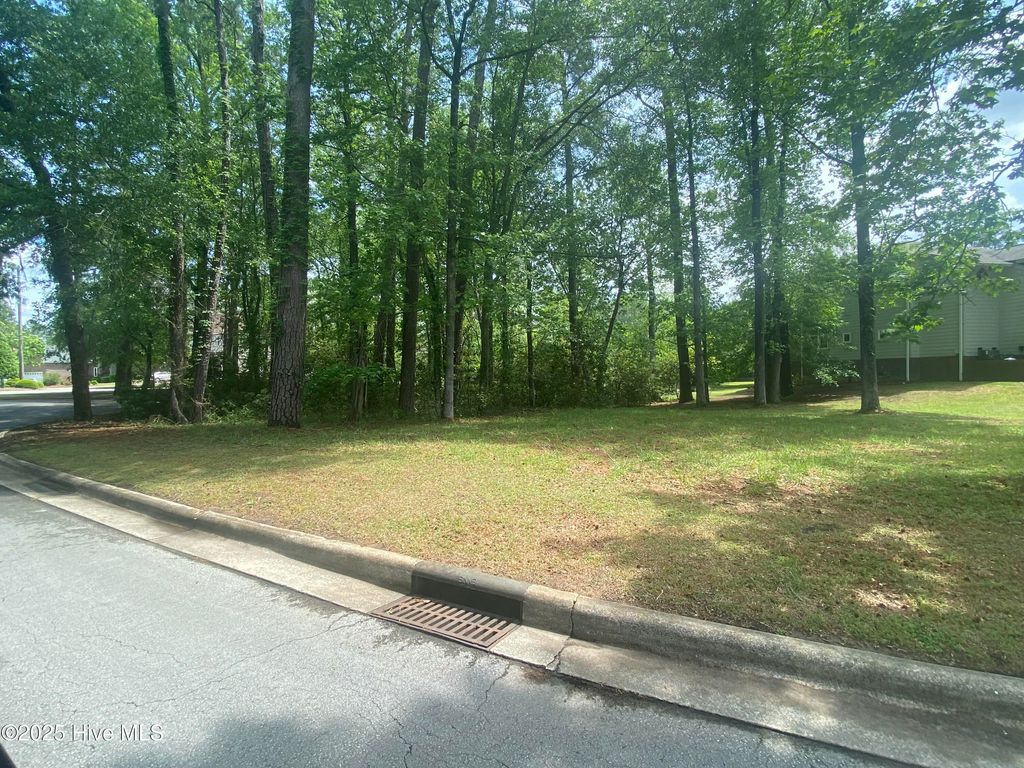 Photo of 125 Hawks Pond Road, New Bern, NC 28562 (MLS # 100503733)