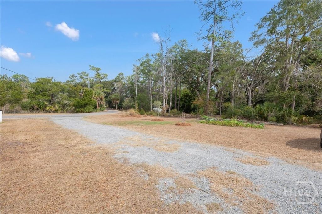 Photo of 624 Japonica Drive, Midway, GA 31320 (MLS # SA349980)