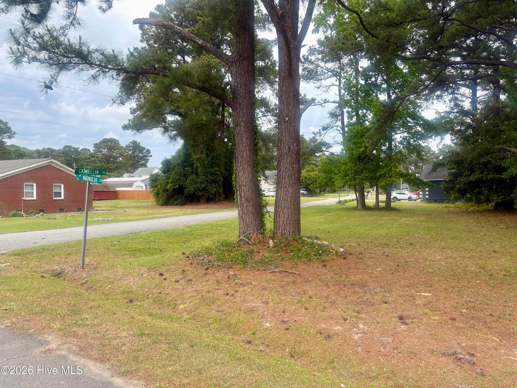 Photo of 131 Magnolia Drive, Camden, NC 27921 (MLS # 100572310)