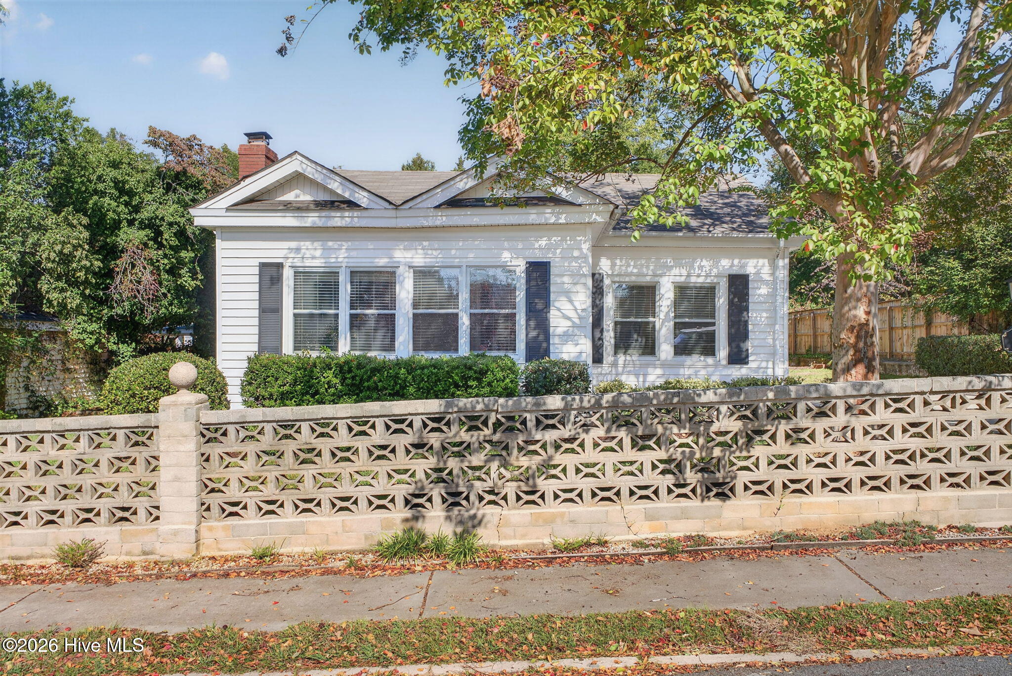 544 Palmetto Lane SW
