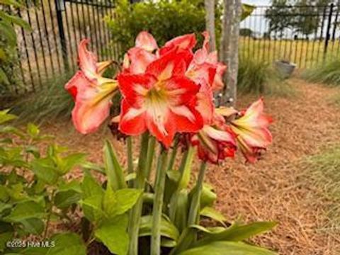 Tiny photo for 163 Voyager Way, Hampstead, NC 28443 (MLS # 100545282)