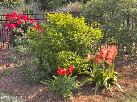 Tiny photo for 163 Voyager Way, Hampstead, NC 28443 (MLS # 100545282)