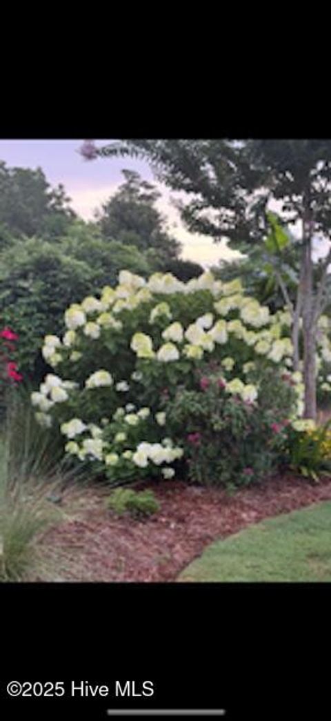 Tiny photo for 163 Voyager Way, Hampstead, NC 28443 (MLS # 100545282)