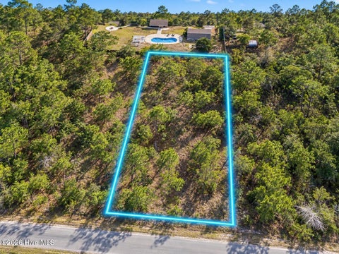 Photo of 0 Catawba Road, Boiling Spring Lakes, NC 28461 (MLS # 100612182)