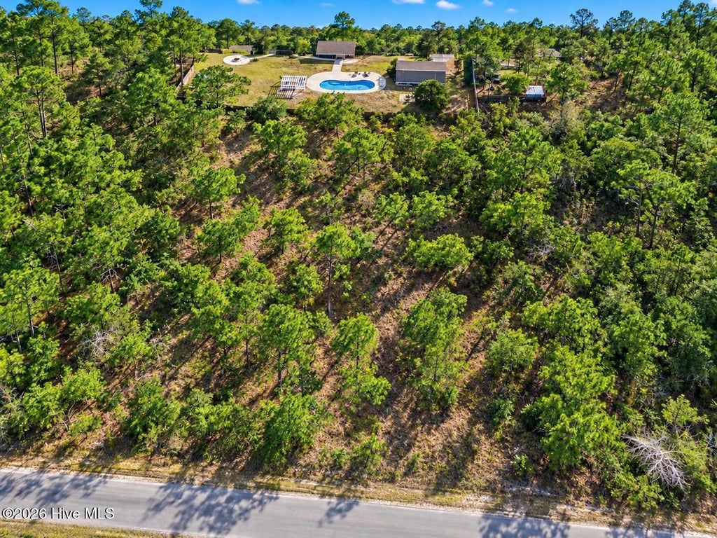 Photo of 0 Catawba Road, Boiling Spring Lakes, NC 28461 (MLS # 100612182)