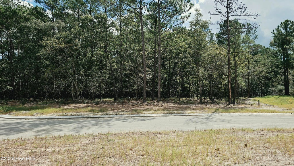 Photo of 3023 Cabadelo Circle SE, Bolivia, NC 28422 (MLS # 100607908)