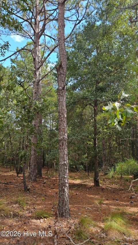Tiny photo for 3023 Cabadelo Circle SE, Bolivia, NC 28422 (MLS # 100607908)