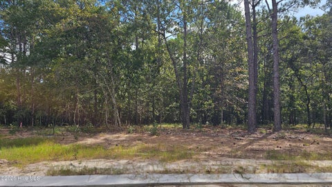 Tiny photo for 3023 Cabadelo Circle SE, Bolivia, NC 28422 (MLS # 100607908)