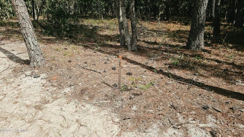 Tiny photo for 3023 Cabadelo Circle SE, Bolivia, NC 28422 (MLS # 100607908)