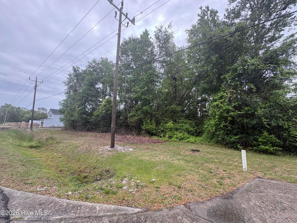 Photo of 1215 Old Fayetteville Road NE, Leland, NC 28451 (MLS # 100570838)