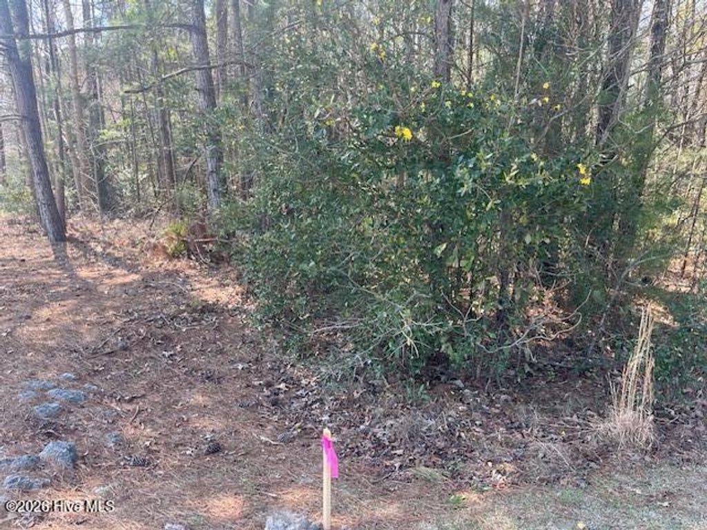Photo of 1894 Sunset Cove Drive SE, Bolivia, NC 28422 (MLS # 100548470)