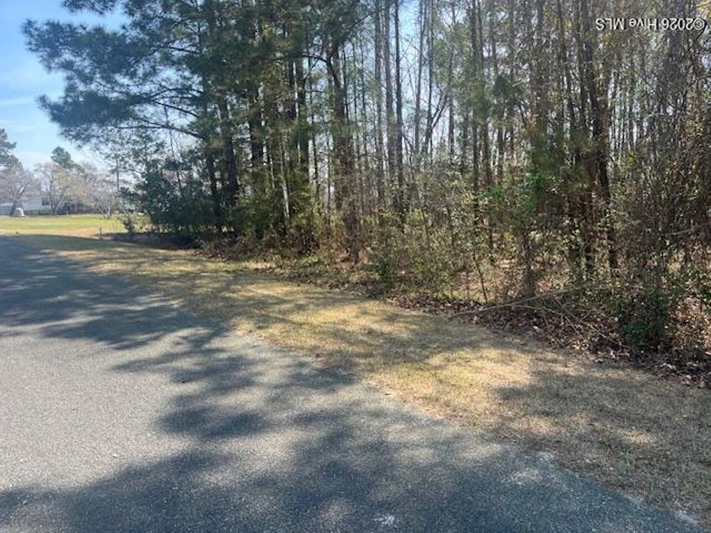Photo of 1894 Sunset Cove Drive SE, Bolivia, NC 28422 (MLS # 100548470)