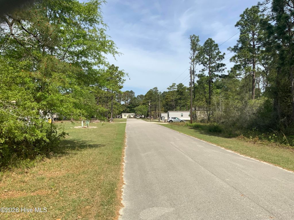 Photo of 1434 Mockingbird Place SW, Shallotte, NC 28470 (MLS # 100570791)