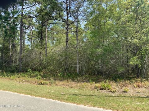 Photo of 1434 Mockingbird Place SW, Shallotte, NC 28470 (MLS # 100570791)