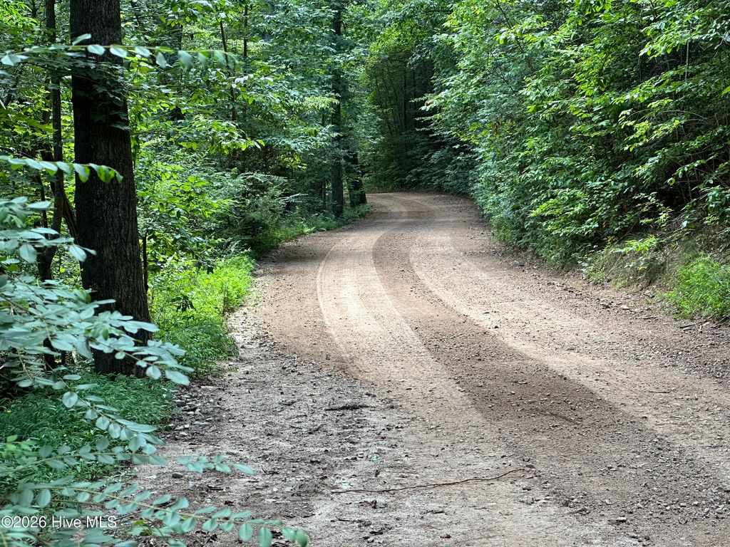 Photo of 0 64, Lenoir, NC 28633 (MLS # 100551698)