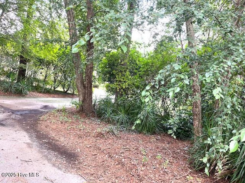 Photo of 107 Briarwood Court, Tarboro, NC 27886 (MLS # 100524592)