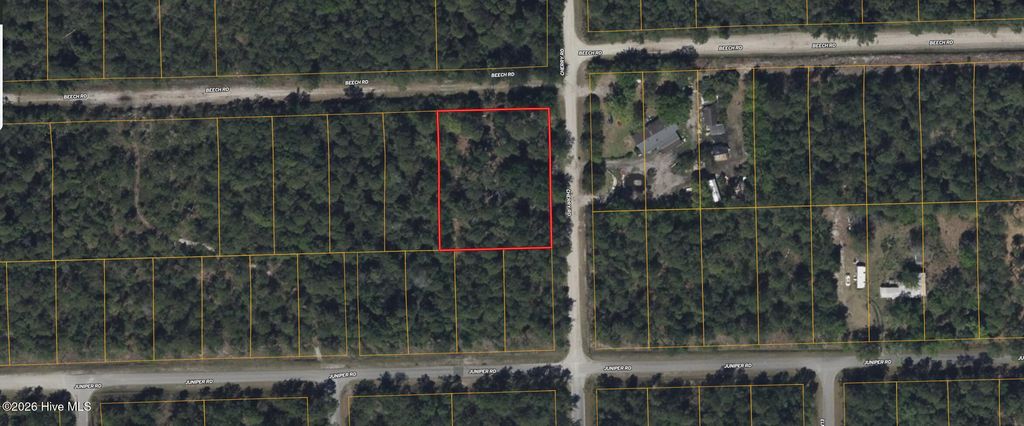 Photo of 1570 Beech Road, Southport, NC 28461 (MLS # 100576036)