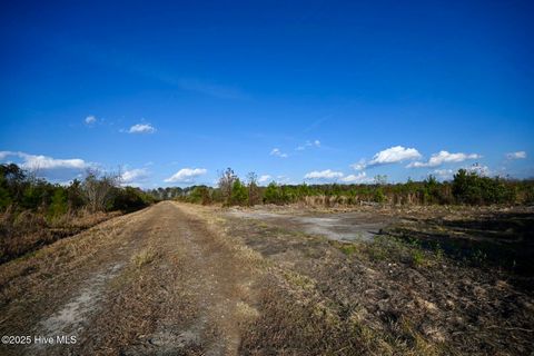 Tiny photo for 00 Kinston Highway, Richlands, NC 28574 (MLS # 100541751)