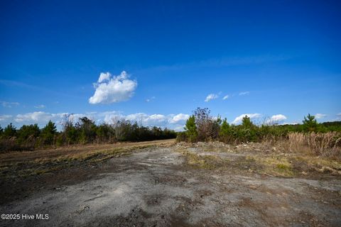 Tiny photo for 00 Kinston Highway, Richlands, NC 28574 (MLS # 100541751)