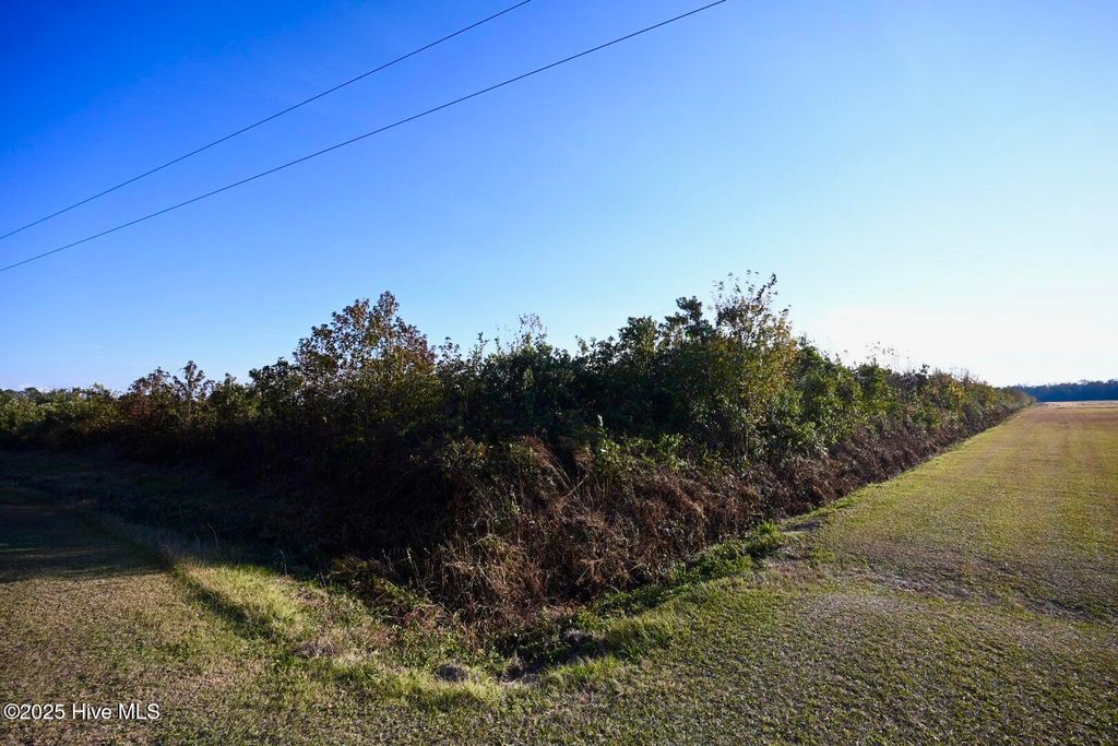 Photo of 00 Kinston Highway, Richlands, NC 28574 (MLS # 100541751)
