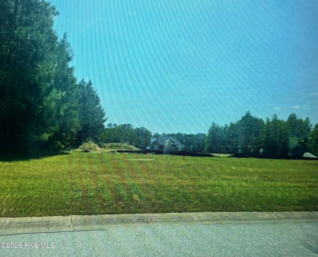 Photo of 14 Beeston Fields, Rocky Mount, NC 27804 (MLS # 100566115)