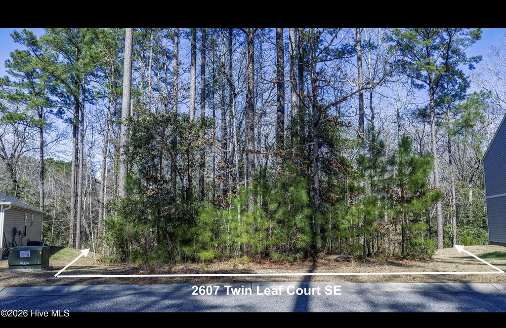 Photo of 2607 Twin Leaf Court SE, Bolivia, NC 28422 (MLS # 100559015)