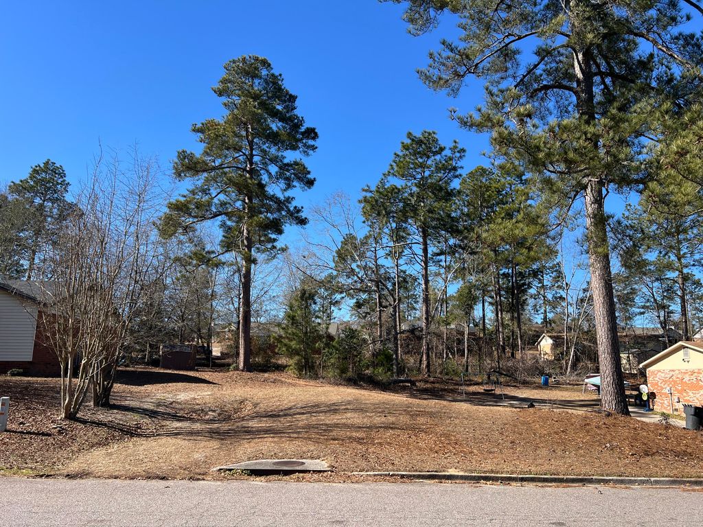 Photo of 2681 Barclay Road, Hephzibah, GA 30815 (MLS # 551484)