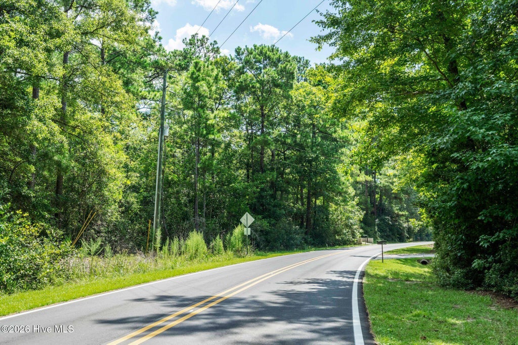 Photo of 205 Creekview Drive, Hampstead, NC 28443 (MLS # 100601856)